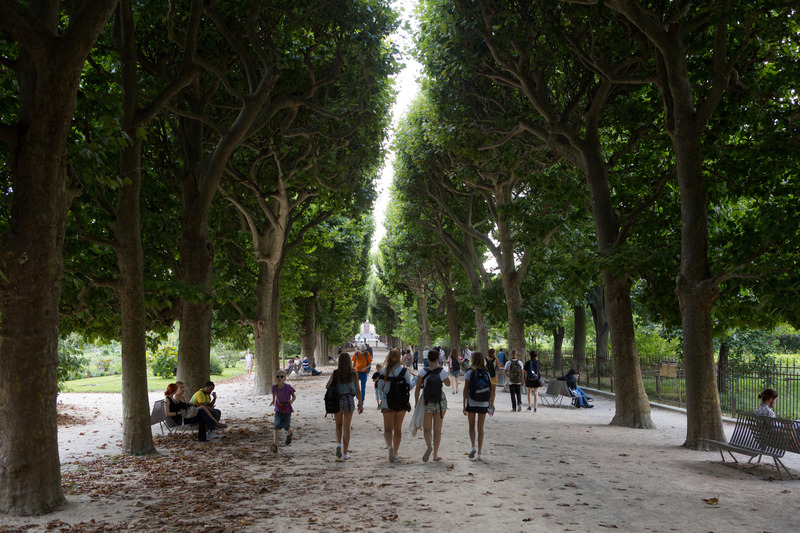 2022年1月2日，民眾在巴黎植物園（Jardin des Plantes）內漫步。（攝影／Eric Kruszewski／Universal Images Group via Getty Images）