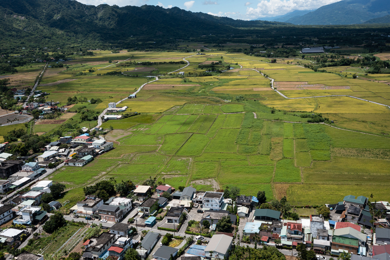 花蓮、太巴塱部落、就地合法、國土計畫法、部落違建