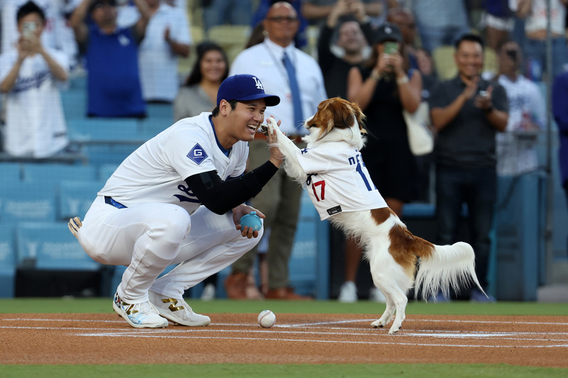 大谷翔平創下全世界棒球員難以企及的高度，與愛犬Decopin的互動則讓他增添「萌」感，展現與美國運動巨星截然不同的氣質。（攝影／Rob Leiter／MLB Photos via Getty Images）